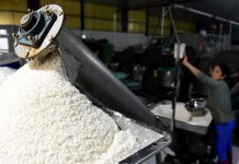 Sa Đéc, Đồng Tháp có gì chơi? Check in 7 toạ độ du lịch hấp dẫn nhất Sa Đéc, Đồng Tháp có gì chơi? Check in 7 toạ độ du lịch hấp dẫn nhất