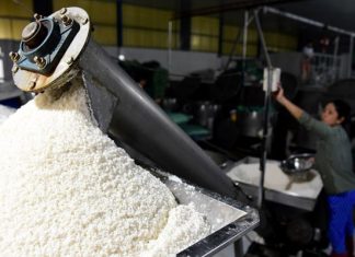 Sa Đéc, Đồng Tháp có gì chơi? Check in 7 toạ độ du lịch hấp dẫn nhất Sa Đéc, Đồng Tháp có gì chơi? Check in 7 toạ độ du lịch hấp dẫn nhất