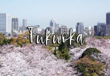 Trọn bộ kinh nghiệm du lịch thành phố Fukuoka nổi tiếng Nhật Bản