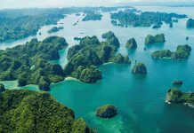 Du lịch Hạ Long sự lựa chọn hàng đầu năm 2025 du lich ha long