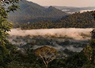 Lạc vào thung lũng Danum Malaysia, khám phá thiên nhiên hoang dã